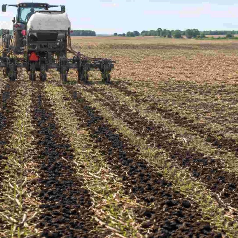 Strip-Till Farming: A Practical Guide for Small Farmers
