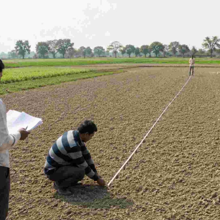Land Area Calculation: Bigha, Acre, Hectare, Kanal Guide